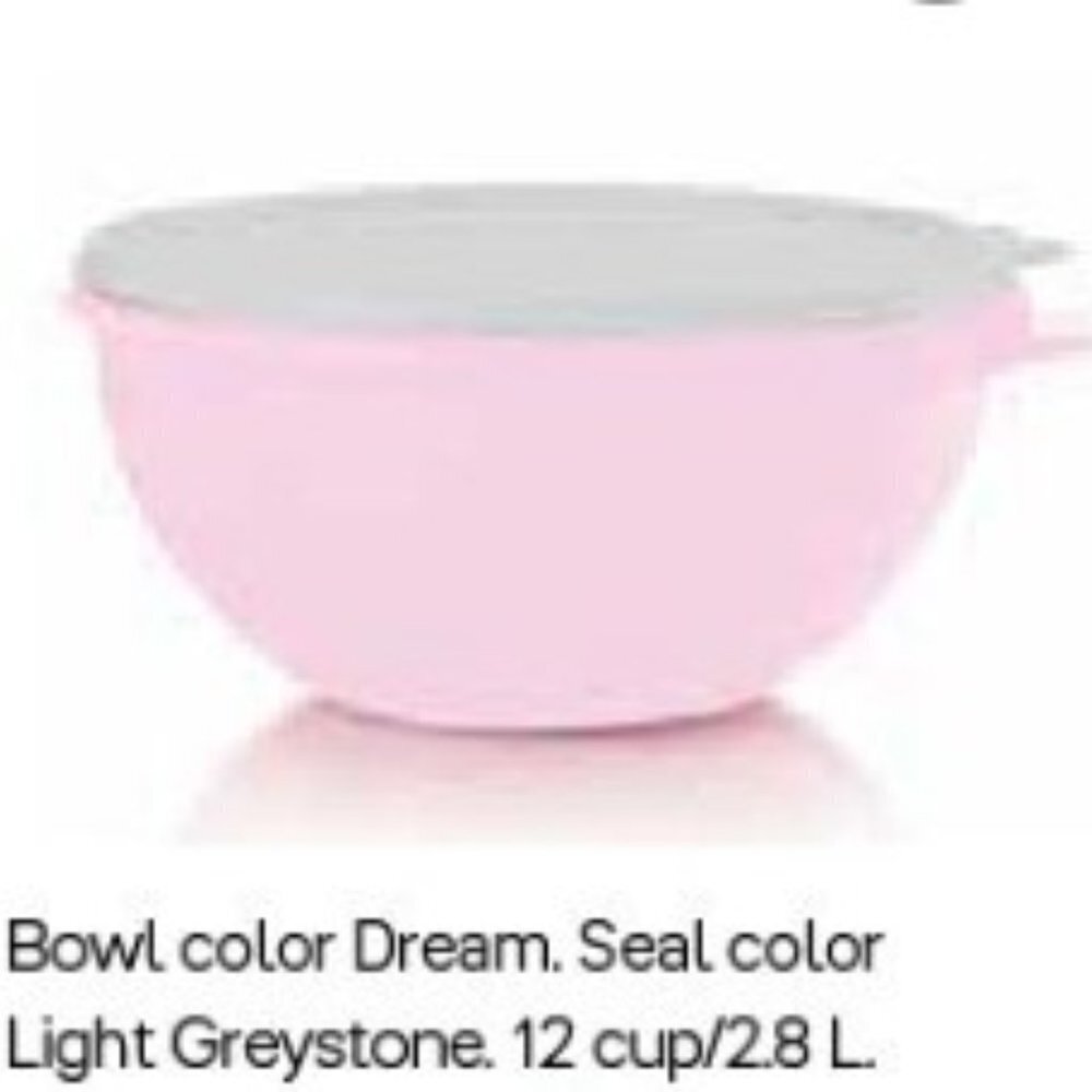 NEW Tupperware Thatsa Jr Bowl | Dream